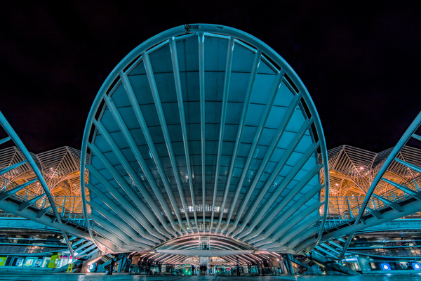 Photograph Antonio Coelho Oriente Train Station on One Eyeland