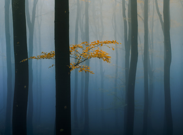 Photograph Veselin Atanasov Nature on One Eyeland