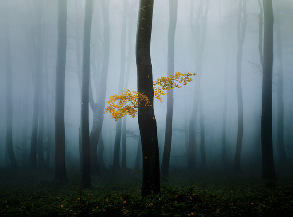 Photograph Veselin Atanasov Bones Of The Balkans on One Eyeland