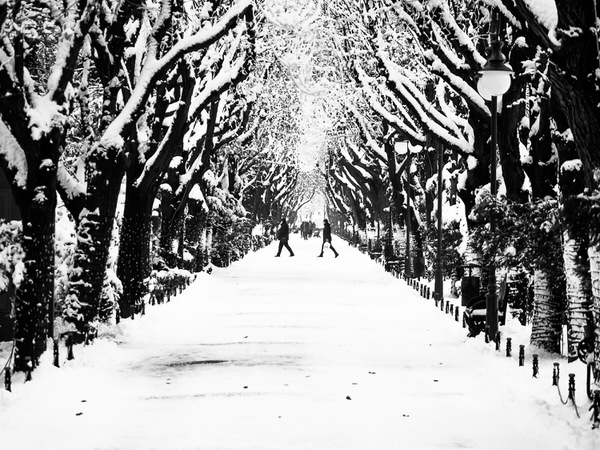 Photograph Marius Surleac That Walk on One Eyeland