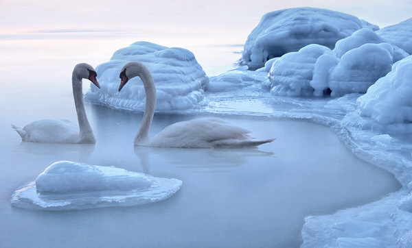 Photograph M Air Frozen Love Story on One Eyeland