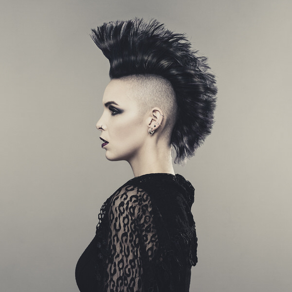 Photograph Lorentz Gullachsen Porcupine Close Se9 on One Eyeland