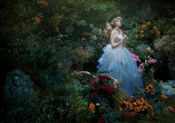 Photograph Haseo Hasegawa Beautiful World 3 on One Eyeland