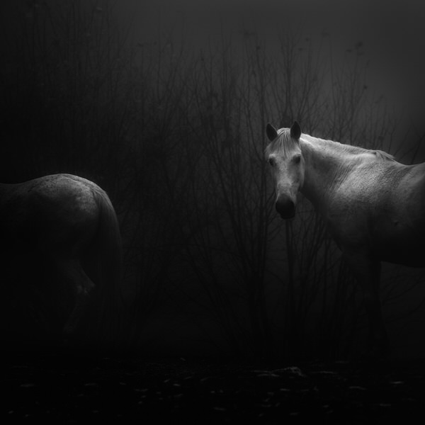 Photograph Veselin Atanasov Puzzle on One Eyeland