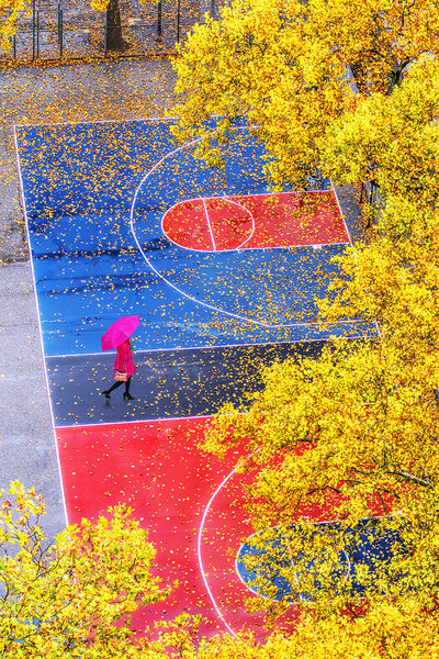 Photograph Mitchell Funk Autumn Leaves On A Rainy Day on One Eyeland