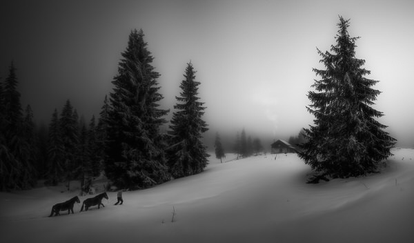 Photograph Veselin Atanasov Home on One Eyeland