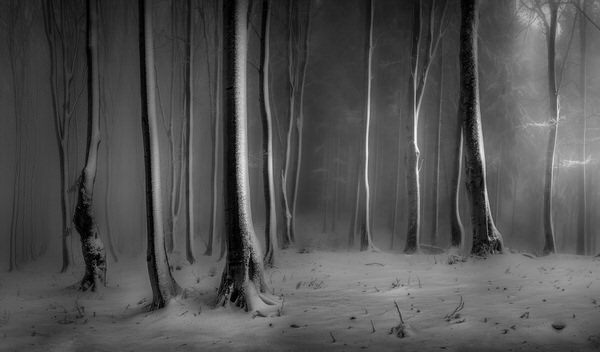 Photograph Veselin Atanasov Winter on One Eyeland