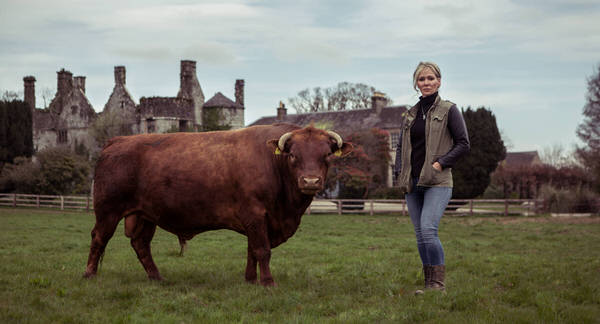 Photograph Denis Vahey Bull And I on One Eyeland
