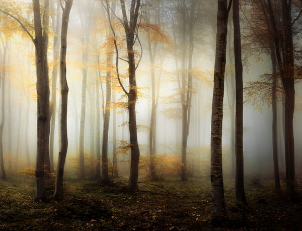 Photograph Veselin Atanasov Golden Light on One Eyeland