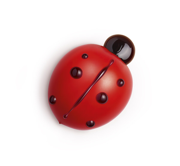 Photograph Paolo Cecchin Ladybug on One Eyeland