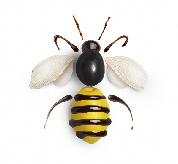 Photograph Paolo Cecchin Bee on One Eyeland