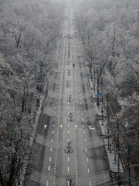 Photograph Marius Surleac On The Wrong Lane on One Eyeland