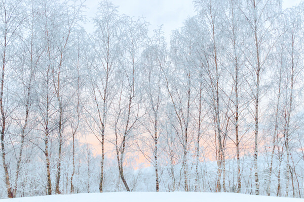 Photograph Ruslan Bolgov The Winter Tale on One Eyeland