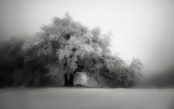 Photograph Veselin Atanasov Winter on One Eyeland