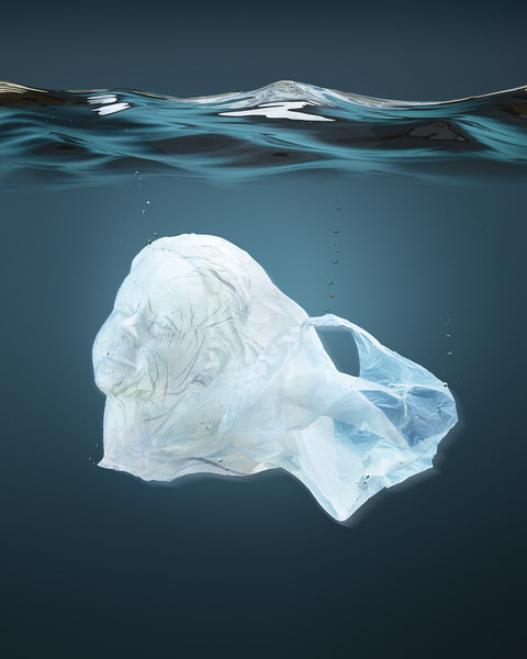 Photograph Tal Silverman Plastic Portrait Ii on One Eyeland