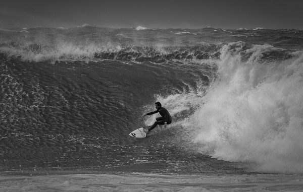 Photograph Steve Turner Wind Swept on One Eyeland