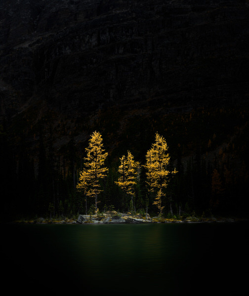 Photograph Marko Radovanovic Island Of Light on One Eyeland