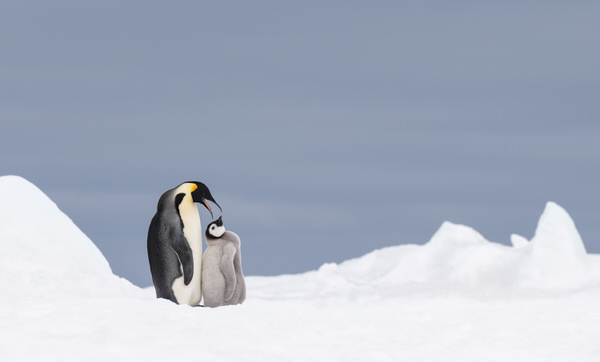 Photograph Franka Slothouber Feeding Time on One Eyeland