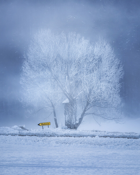 Photograph Ales Krivec Frosty Morning on One Eyeland