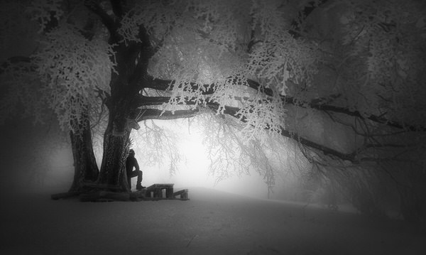Photograph Veselin Atanasov Winter In The Balkans on One Eyeland