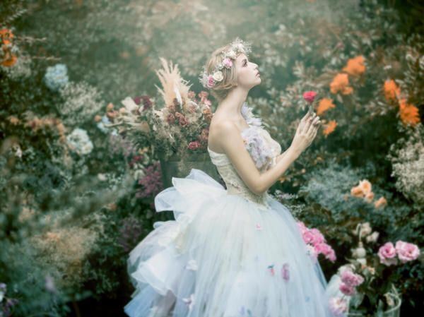 Photograph Haseo Hasegawa Beautiful World on One Eyeland