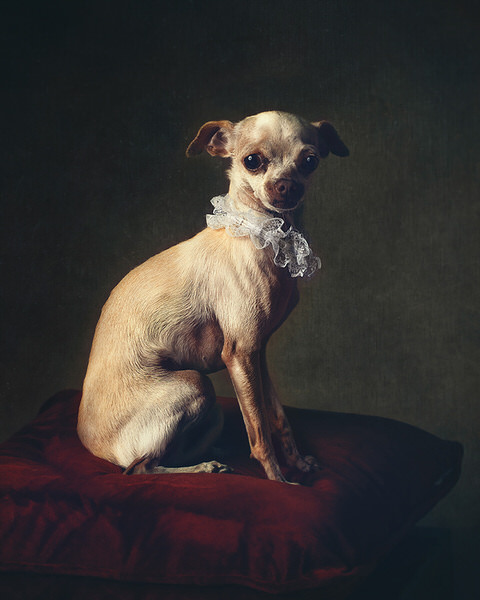 Photograph Paola Massa Cony on One Eyeland