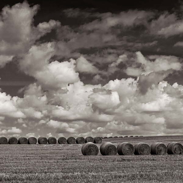 Photograph Michael Knapstein Harvest on One Eyeland