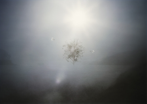 Photograph Kazutoshi Kawakami Prayer Of Peace on One Eyeland