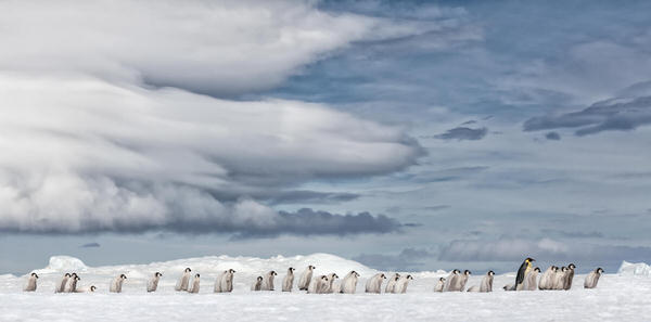 Photograph Franka Slothouber The March on One Eyeland