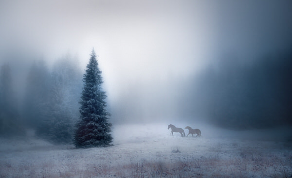 Photograph Veselin Atanasov The Game on One Eyeland