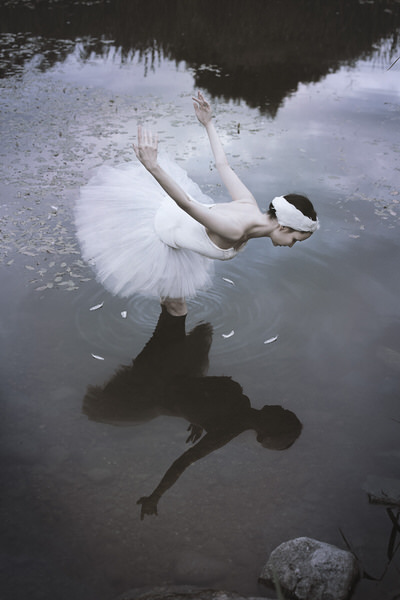 Photograph Celine Katrine B Petersen The Swan on One Eyeland