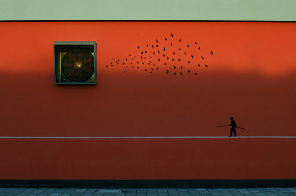 Photograph Filiberto Galli What Life Is on One Eyeland