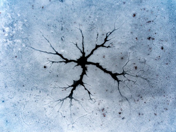 Photograph Tomas Neuwirth Fractal on One Eyeland