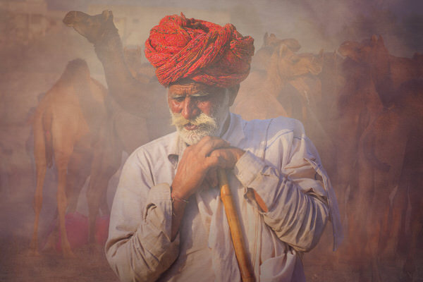 Photograph Svetlin Yosifov Camel Man From India on One Eyeland