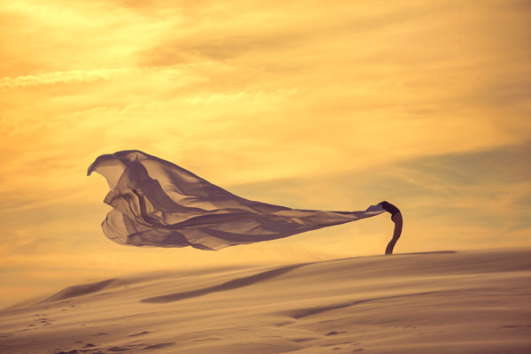 Photograph Junior Luz Winds Of Desert on One Eyeland