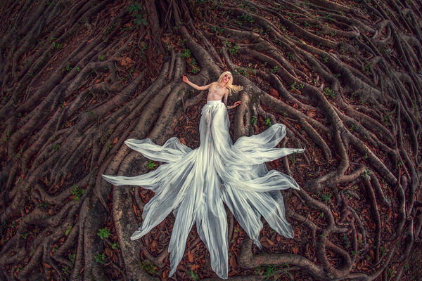 Photograph Junior Luz Nature Life on One Eyeland