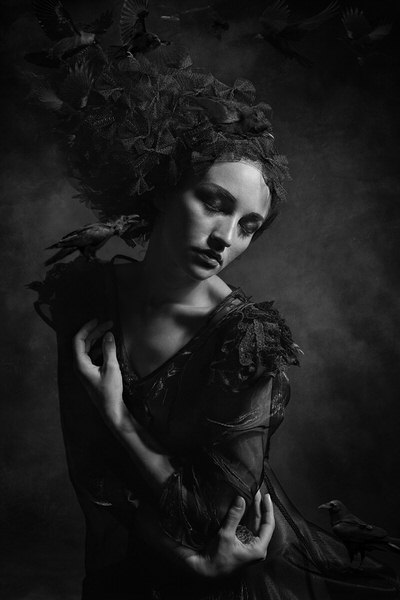 Photograph Roy Lemme Queen Of Crow on One Eyeland