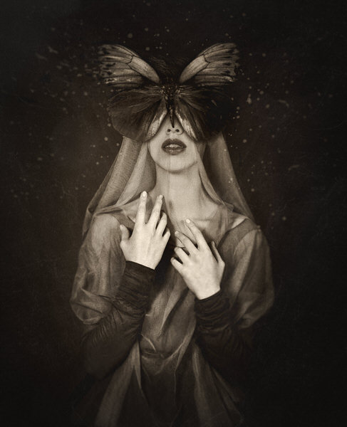 Photograph Svetlana Melik Nubarova Butterfly on One Eyeland