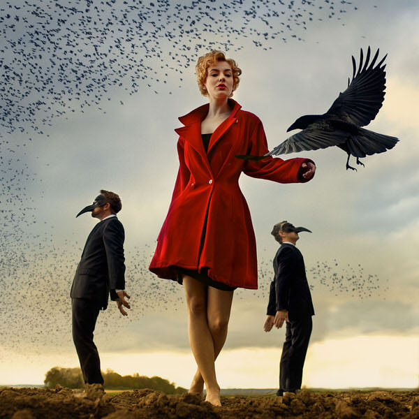 Photograph Mandy Hady Schulte If These Wings Could Fly on One Eyeland