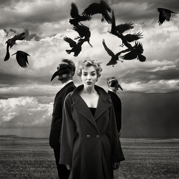 Photograph Mandy Hady Schulte Birds on One Eyeland
