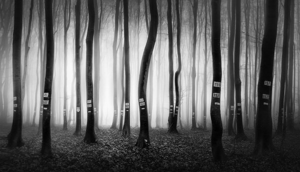 Photograph Veselin Atanasov The Numbers on One Eyeland