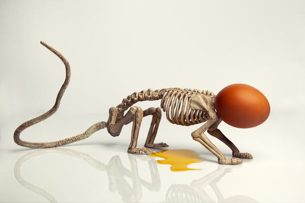 Photograph Marian Korte Easter Is Coming on One Eyeland
