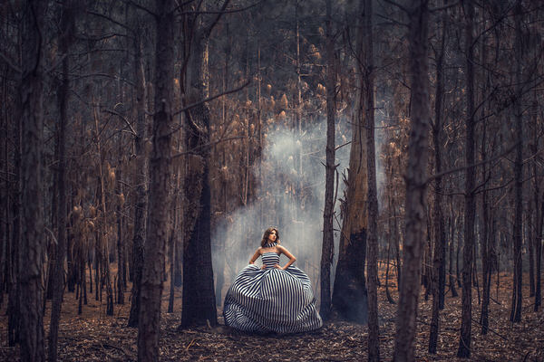 Photograph Junior Luz Burn Florest on One Eyeland