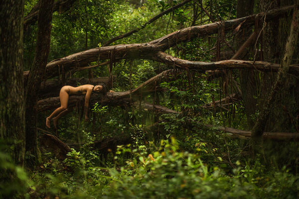 Photograph Junior Luz Nature Life on One Eyeland