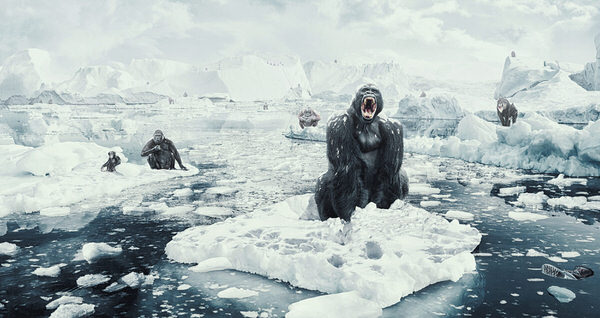 Photograph Ashot Gevorkyan Arctic Monkeys on One Eyeland