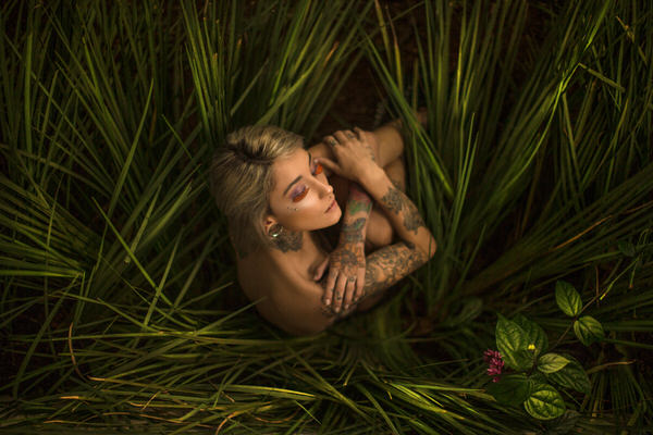 Photograph Junior Luz Beauty Of Nature on One Eyeland