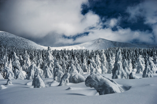 Photograph Kazuaki Koseki Stand On The Plateau on One Eyeland