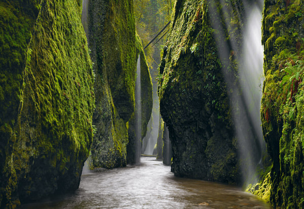 Photograph Peter Lik Allure on One Eyeland