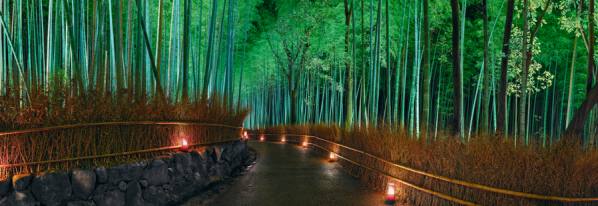 Photograph Peter Lik The Last Night on One Eyeland