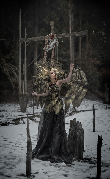 Photograph Haseo Hasegawa Golden Crow on One Eyeland